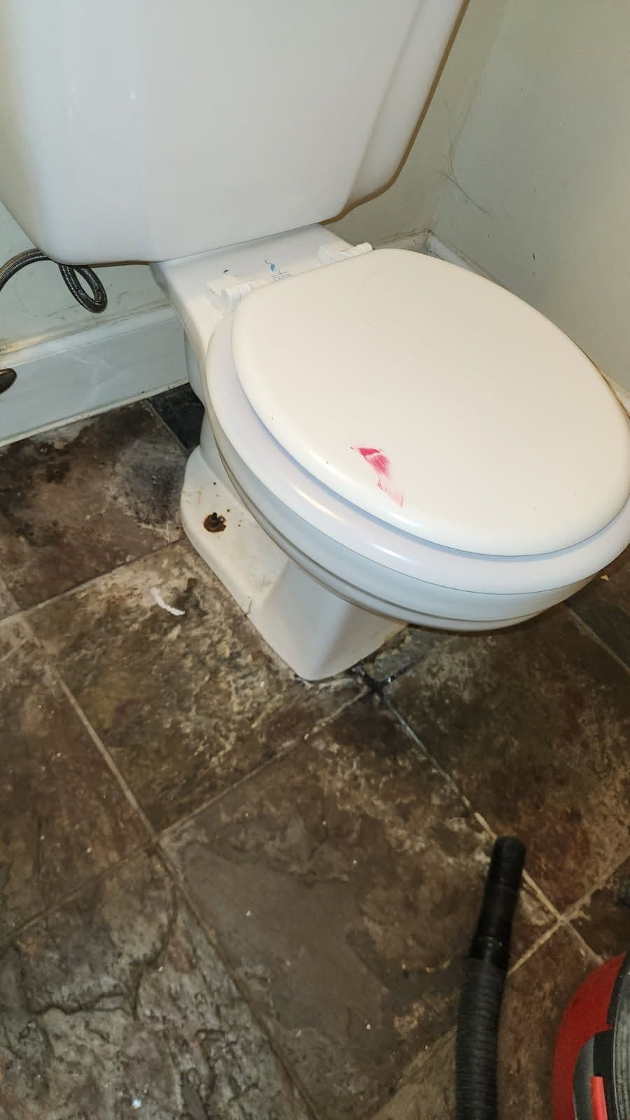 Project Spotless Toilet Upgrade in Eureka image