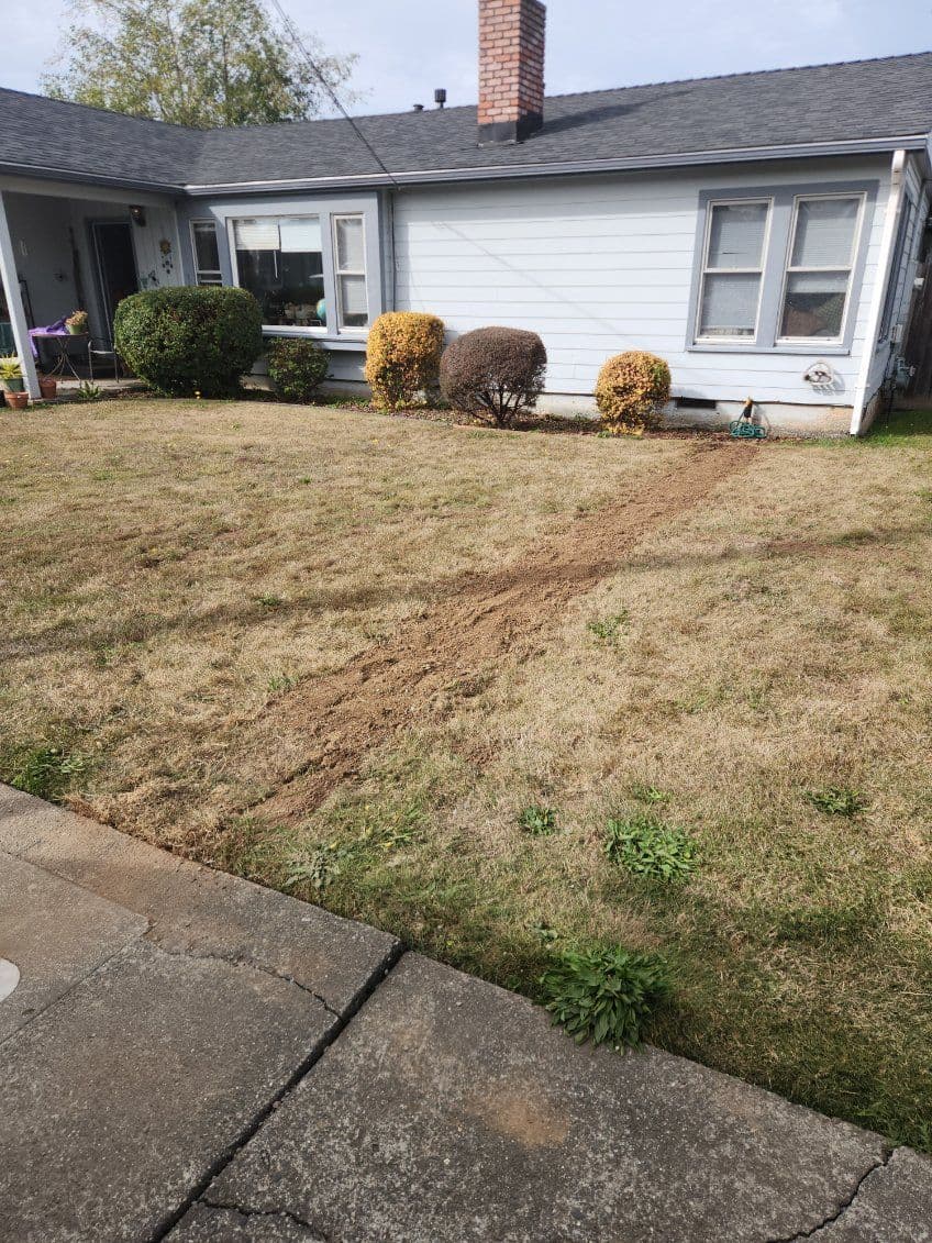 Water Service Line Replacement in Arcata