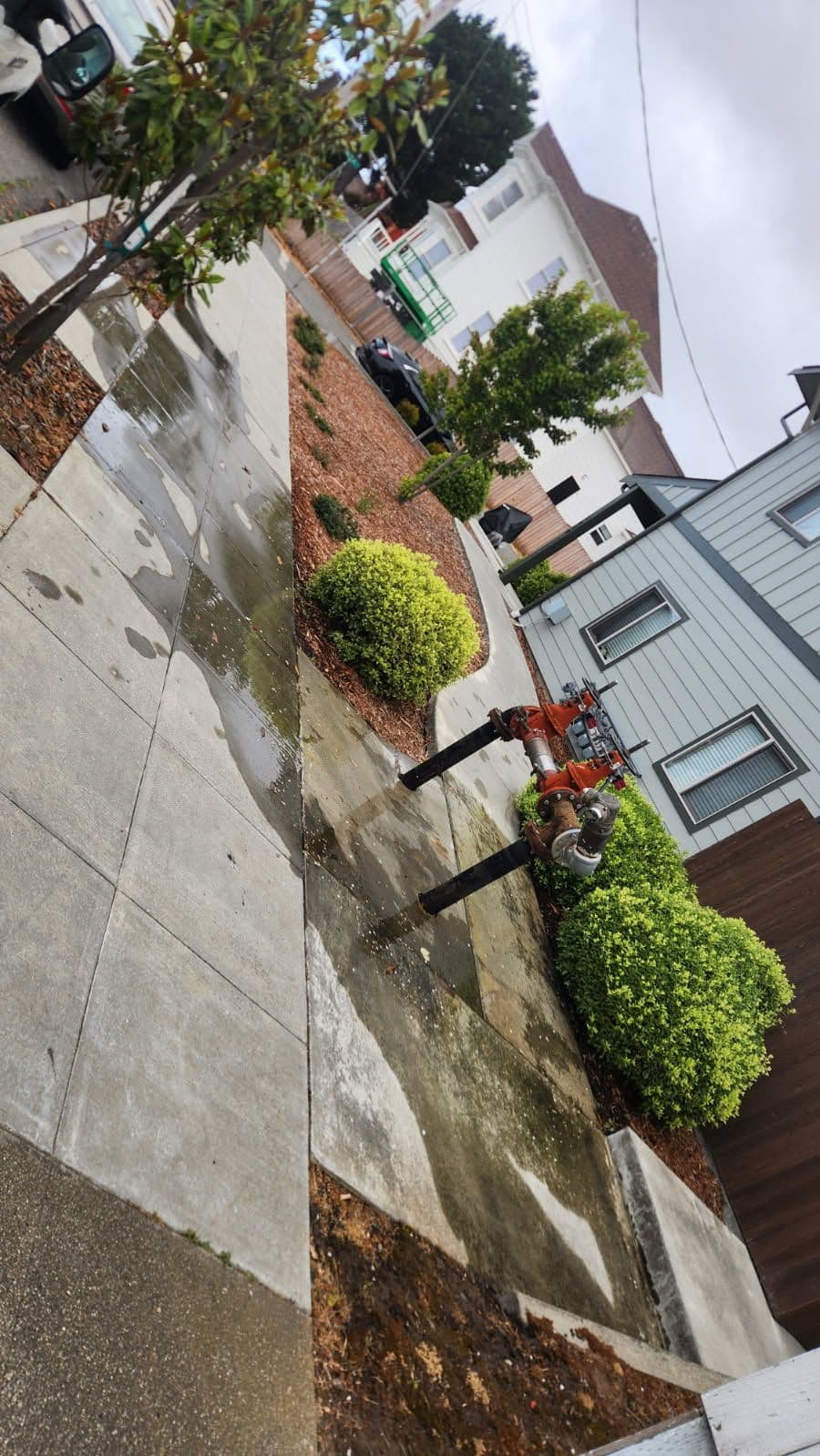 Expert Leak Detection and Pipe Repair Success image