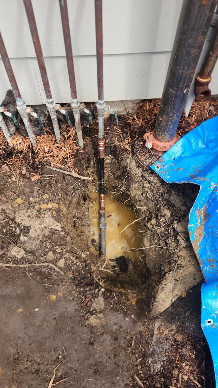 Gallery photos for Expert Leak Detection and Pipe Repair Success: Image #1
