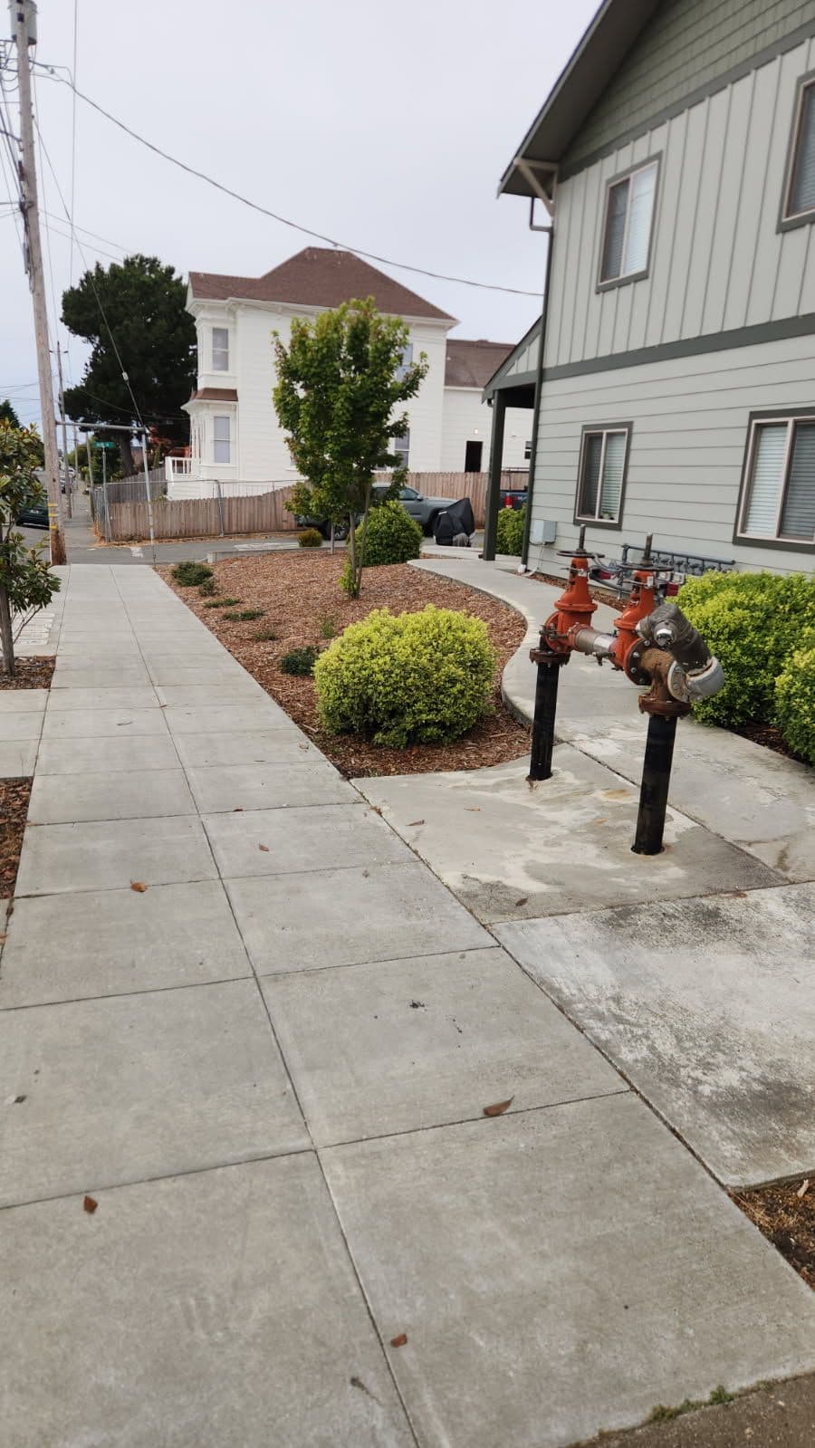 Gallery photos for Expert Leak Detection and Pipe Repair Success: Image #3