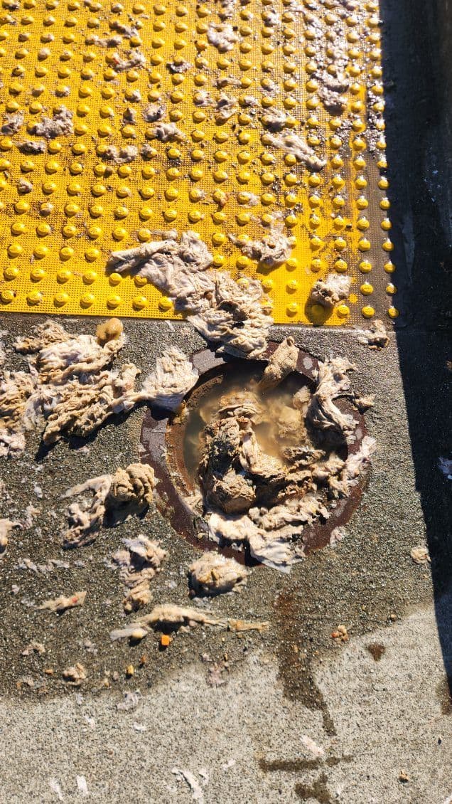 Gallery photos for Overflowing Sewer Tamed in Fortuna: Image #2