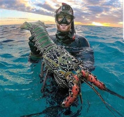  パラダイスザリガニ！砂浜の宝石を探し求める、奇妙な潜水兵！